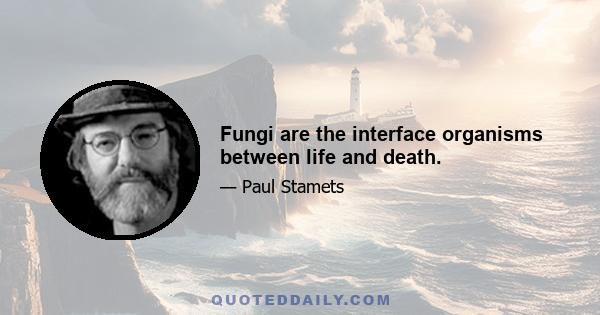 Fungi are the interface organisms between life and death.