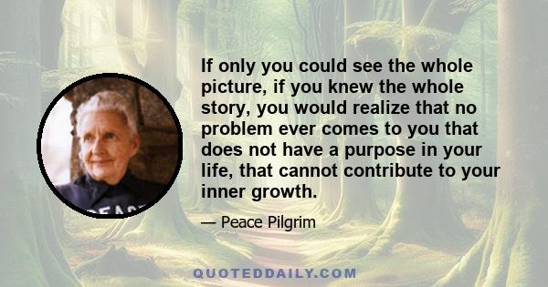 If only you could see the whole picture, if you knew the whole story, you would realize that no problem ever comes to you that does not have a purpose in your life, that cannot contribute to your inner growth. When you