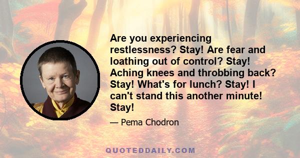 Are you experiencing restlessness? Stay! Are fear and loathing out of control? Stay! Aching knees and throbbing back? Stay! What's for lunch? Stay! I can't stand this another minute! Stay!