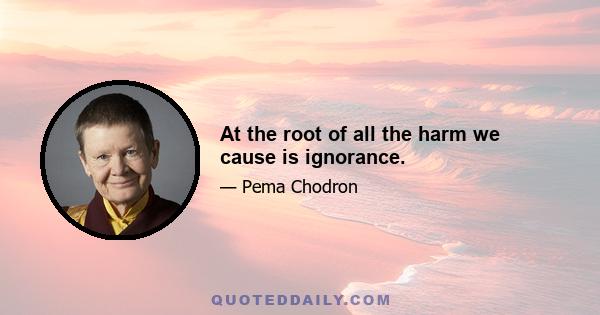 At the root of all the harm we cause is ignorance.