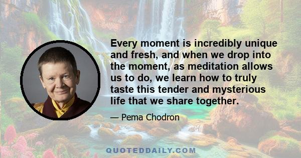 Every moment is incredibly unique and fresh, and when we drop into the moment, as meditation allows us to do, we learn how to truly taste this tender and mysterious life that we share together.