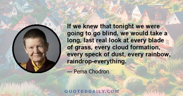 If we knew that tonight we were going to go blind, we would take a long, last real look at every blade of grass, every cloud formation, every speck of dust, every rainbow, raindrop-everything.