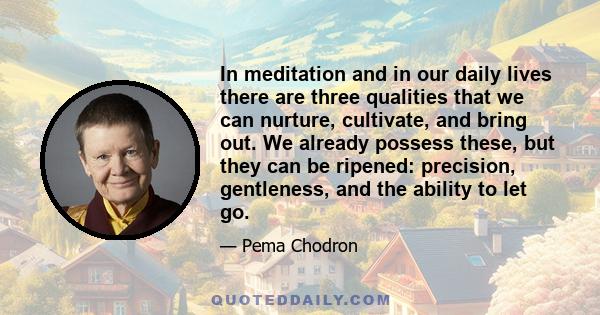 In meditation and in our daily lives there are three qualities that we can nurture, cultivate, and bring out. We already possess these, but they can be ripened: precision, gentleness, and the ability to let go.