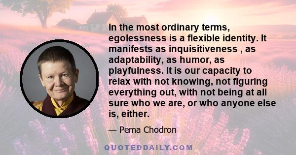 In the most ordinary terms, egolessness is a flexible identity. It manifests as inquisitiveness , as adaptability, as humor, as playfulness. It is our capacity to relax with not knowing, not figuring everything out,