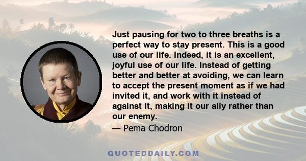 Just pausing for two to three breaths is a perfect way to stay present. This is a good use of our life. Indeed, it is an excellent, joyful use of our life. Instead of getting better and better at avoiding, we can learn