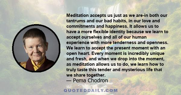 Meditation accepts us just as we are-in both our tantrums and our bad habits, in our love and commitments and happiness. It allows us to have a more flexible identity because we learn to accept ourselves and all of our