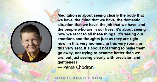 Meditation is about seeing clearly the body that we have, the mind that we have, the domestic situation that we have, the job that we have, and the people who are in our lives. It's about seeing how we react to all