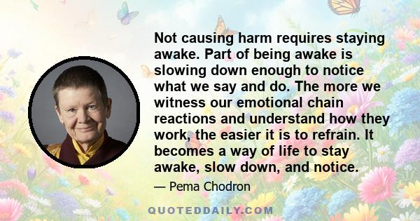 Not causing harm requires staying awake. Part of being awake is slowing down enough to notice what we say and do. The more we witness our emotional chain reactions and understand how they work, the easier it is to