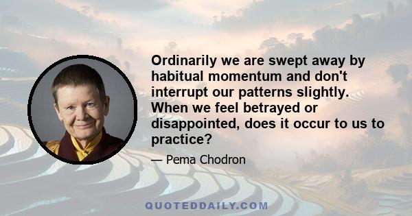 Ordinarily we are swept away by habitual momentum and don't interrupt our patterns slightly. When we feel betrayed or disappointed, does it occur to us to practice?