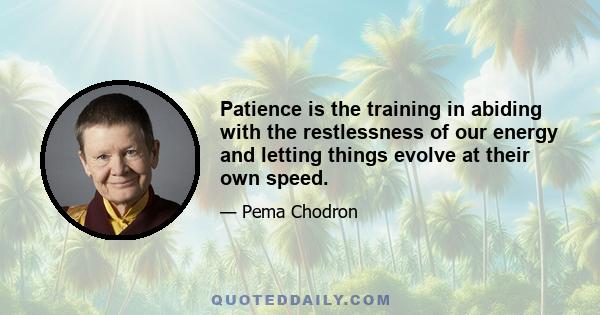 Patience is the training in abiding with the restlessness of our energy and letting things evolve at their own speed.