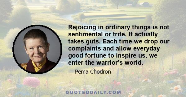 Rejoicing in ordinary things is not sentimental or trite. It actually takes guts. Each time we drop our complaints and allow everyday good fortune to inspire us, we enter the warrior's world.