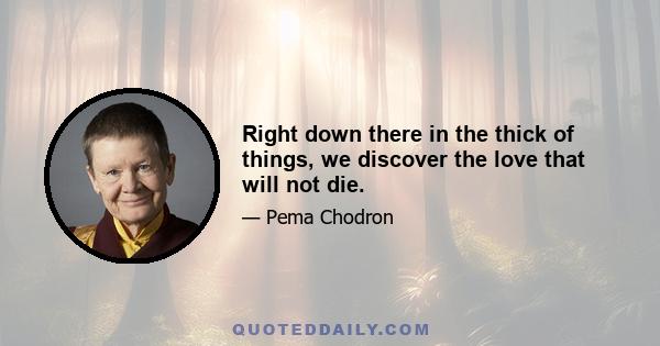 Right down there in the thick of things, we discover the love that will not die.