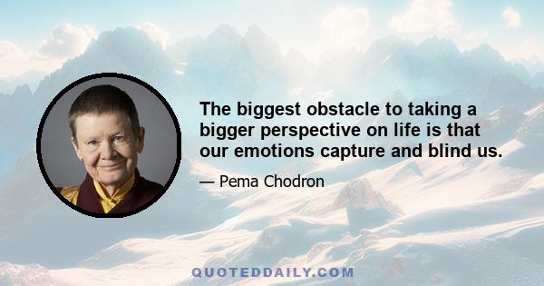 The biggest obstacle to taking a bigger perspective on life is that our emotions capture and blind us.