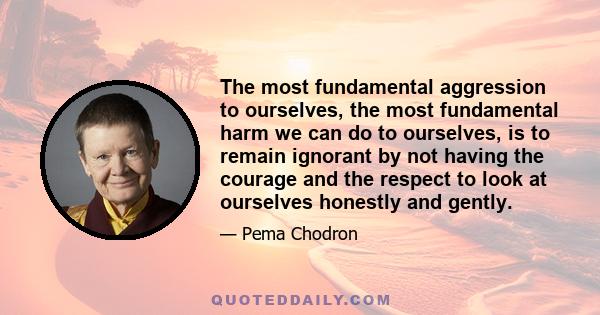 The most fundamental aggression to ourselves, the most fundamental harm we can do to ourselves, is to remain ignorant by not having the courage and the respect to look at ourselves honestly and gently.