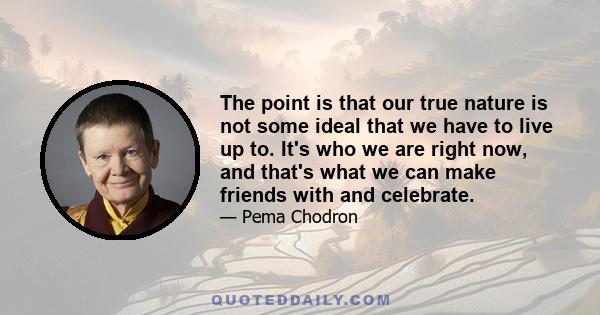 The point is that our true nature is not some ideal that we have to live up to. It's who we are right now, and that's what we can make friends with and celebrate.