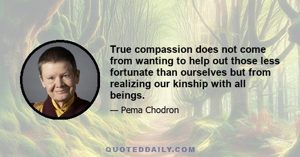 True compassion does not come from wanting to help out those less fortunate than ourselves but from realizing our kinship with all beings.