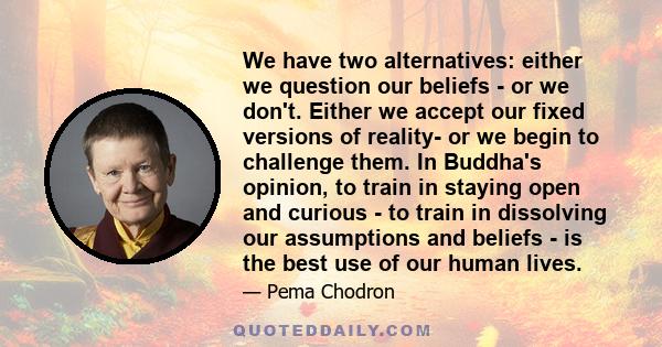 We have two alternatives: either we question our beliefs - or we don't. Either we accept our fixed versions of reality- or we begin to challenge them. In Buddha's opinion, to train in staying open and curious - to train 