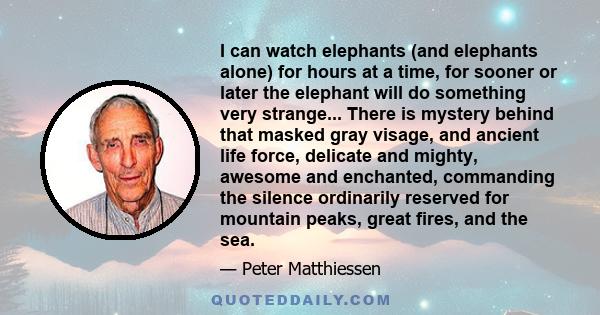 I can watch elephants (and elephants alone) for hours at a time, for sooner or later the elephant will do something very strange... There is mystery behind that masked gray visage, and ancient life force, delicate and