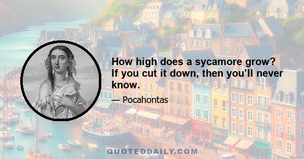 How high does a sycamore grow? If you cut it down, then you’ll never know.