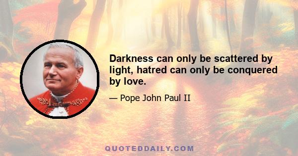 Darkness can only be scattered by light, hatred can only be conquered by love.