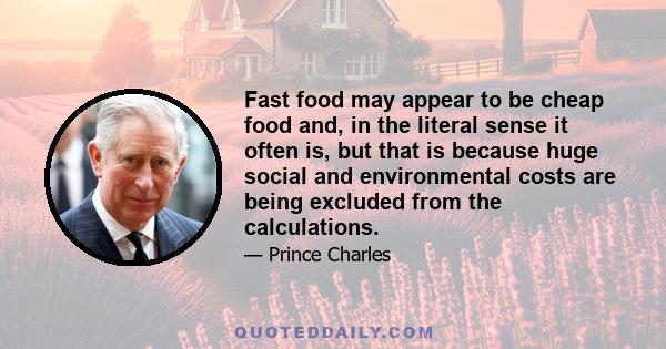 Fast food may appear to be cheap food and, in the literal sense it often is, but that is because huge social and environmental costs are being excluded from the calculations.