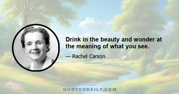 Drink in the beauty and wonder at the meaning of what you see.