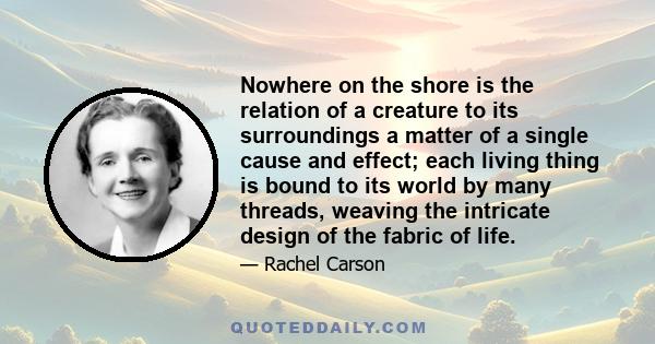 Nowhere on the shore is the relation of a creature to its surroundings a matter of a single cause and effect; each living thing is bound to its world by many threads, weaving the intricate design of the fabric of life.