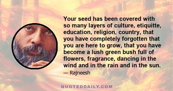 Your seed has been covered with so many layers of culture, etiquitte, education, religion, country, that you have completely forgotten that you are here to grow, that you have become a lush green bush full of flowers,