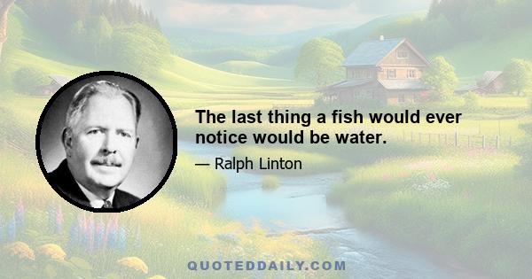 The last thing a fish would ever notice would be water.