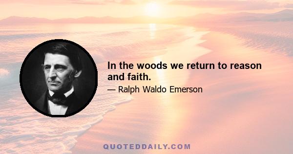 In the woods we return to reason and faith.