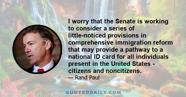 I worry that the Senate is working to consider a series of little-noticed provisions in comprehensive immigration reform that may provide a pathway to a national ID card for all individuals present in the United States