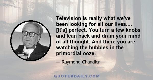 Television is really what we've been looking for all our lives.... [It's] perfect. You turn a few knobs and lean back and drain your mind of all thought. And there you are watching the bubbles in the primordial ooze.