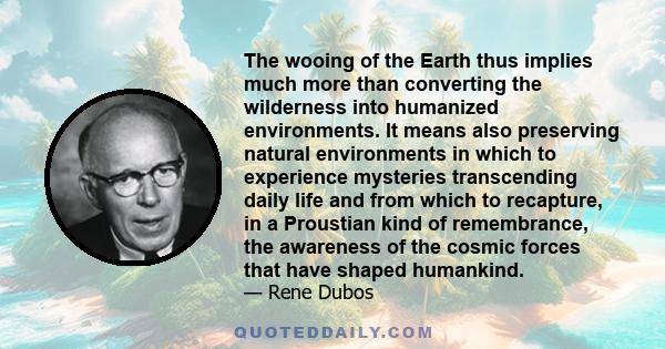 The wooing of the Earth thus implies much more than converting the wilderness into humanized environments. It means also preserving natural environments in which to experience mysteries transcending daily life and from