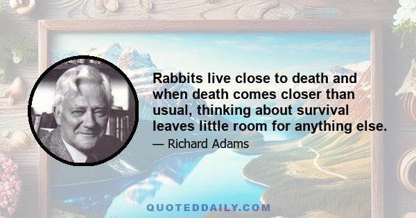 Rabbits live close to death and when death comes closer than usual, thinking about survival leaves little room for anything else.