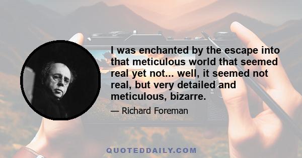 I was enchanted by the escape into that meticulous world that seemed real yet not... well, it seemed not real, but very detailed and meticulous, bizarre.