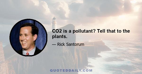 CO2 is a pollutant? Tell that to the plants.