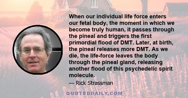 When our individual life force enters our fetal body, the moment in which we become truly human, it passes through the pineal and triggers the first primordial flood of DMT. Later, at birth, the pineal releases more