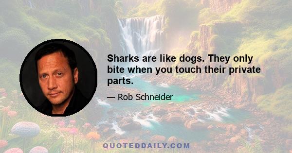 Sharks are like dogs. They only bite when you touch their private parts.