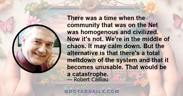 There was a time when the community that was on the Net was homogenous and civilized. Now it's not. We're in the middle of chaos. It may calm down. But the alternative is that there's a total meltdown of the system and