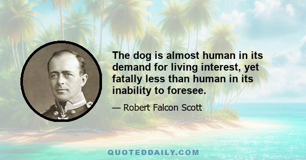 The dog is almost human in its demand for living interest, yet fatally less than human in its inability to foresee.