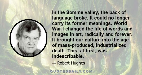 In the Somme valley, the back of language broke. It could no longer carry its former meanings. World War I changed the life of words and images in art, radically and forever. It brought our culture into the age of