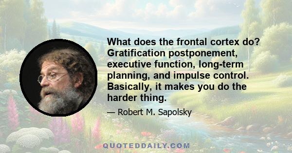 What does the frontal cortex do? Gratification postponement, executive function, long-term planning, and impulse control. Basically, it makes you do the harder thing.