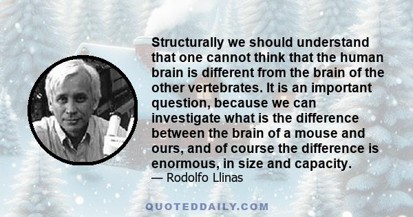 Structurally we should understand that one cannot think that the human brain is different from the brain of the other vertebrates. It is an important question, because we can investigate what is the difference between