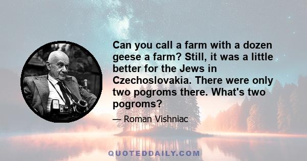 Can you call a farm with a dozen geese a farm? Still, it was a little better for the Jews in Czechoslovakia. There were only two pogroms there. What's two pogroms?