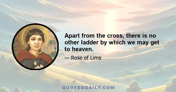 Apart from the cross, there is no other ladder by which we may get to heaven.