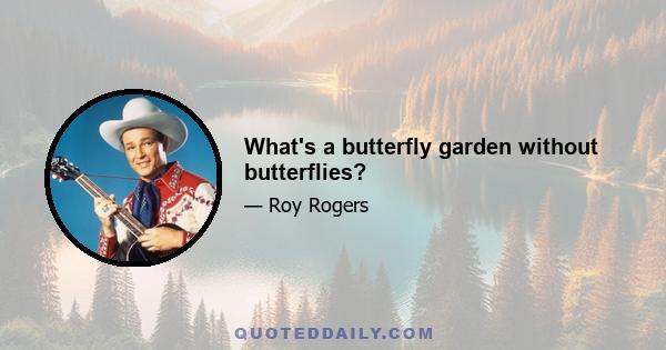 What's a butterfly garden without butterflies?