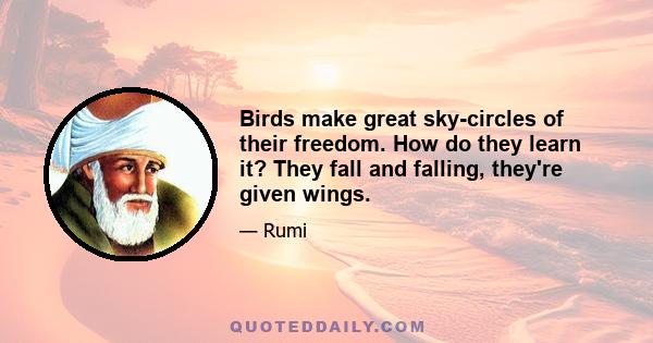 Birds make great sky-circles of their freedom. How do they learn it? They fall and falling, they're given wings.