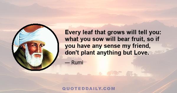 Every leaf that grows will tell you: what you sow will bear fruit, so if you have any sense my friend, don't plant anything but Love.