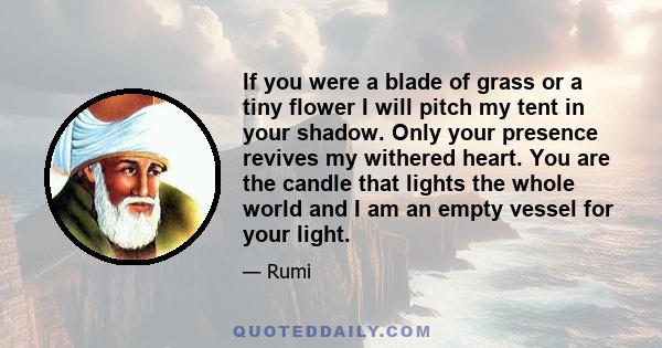 If you were a blade of grass or a tiny flower I will pitch my tent in your shadow. Only your presence revives my withered heart. You are the candle that lights the whole world and I am an empty vessel for your light.