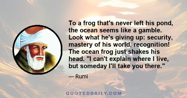 To a frog that's never left his pond, the ocean seems like a gamble. Look what he's giving up: security, mastery of his world, recognition! The ocean frog just shakes his head. I can't explain where I live, but someday